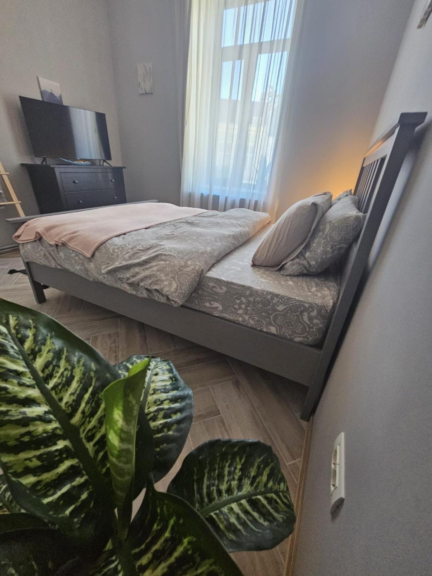 Zig Zag Apartment 4- Old Town 콘스탄차 외부 사진